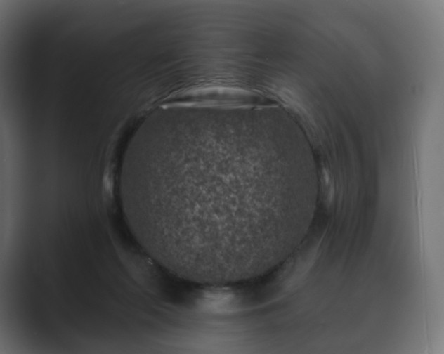 X0000089700214200706281500