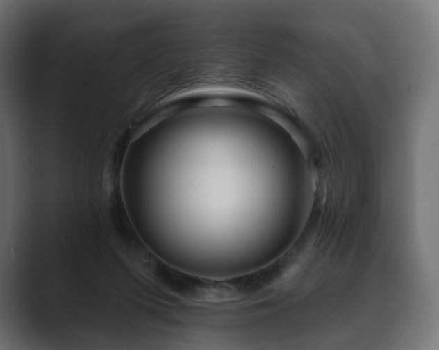 X0000089700215200706281500