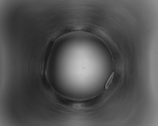 X0000089700216200706281500