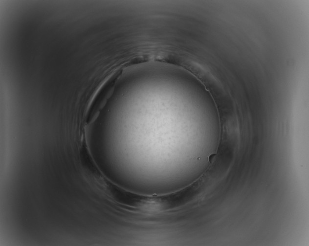 X0000089700218200706281500