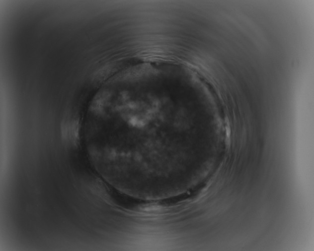 X0000089700219200706281500