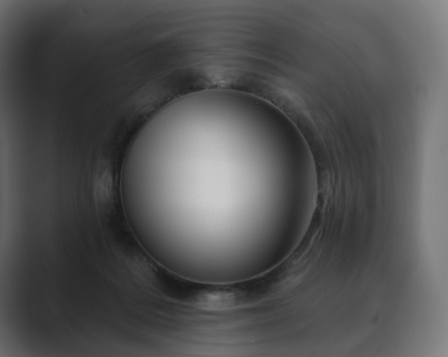 X0000089700220200706281500