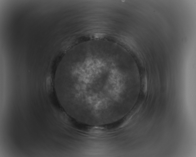 X0000089700222200706281500