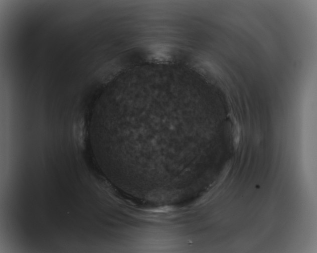 X0000089700223200706281500