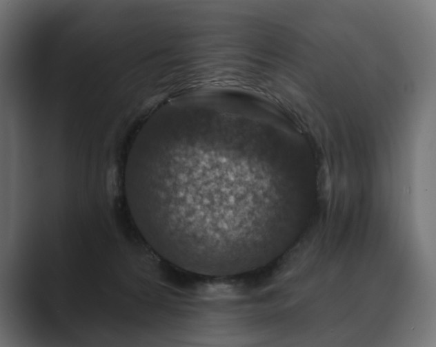 X0000089700224200706281500