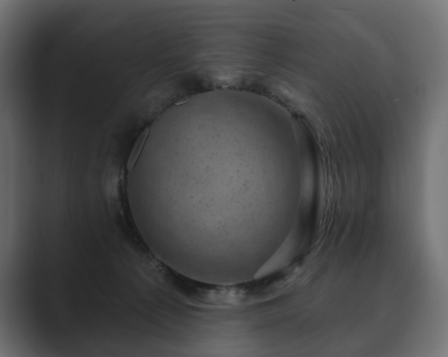 X0000089700225200706281500