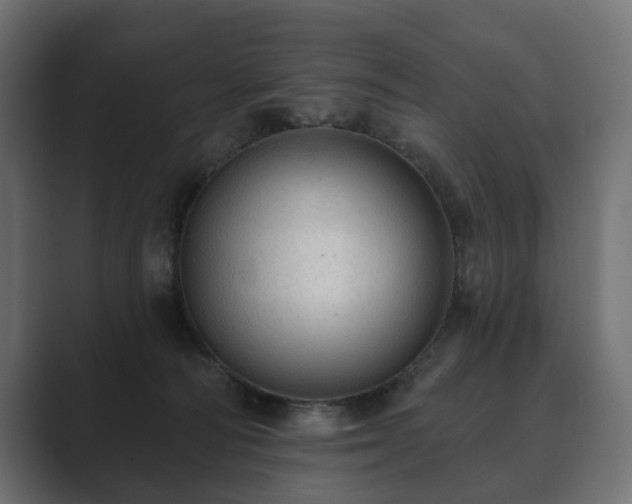 X0000089700226200706281500