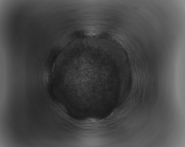 X0000089700227200706281500