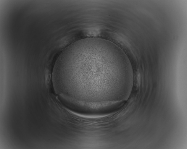 X0000089700228200706281500