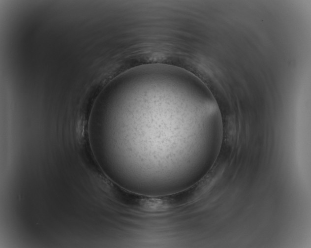 X0000089700230200706281500