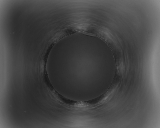 X0000089700231200706281500