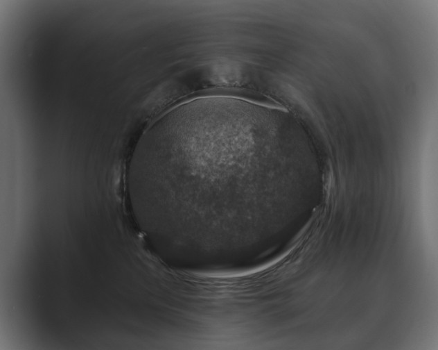 X0000089700233200706281500