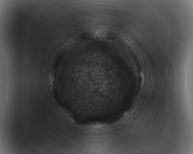 X0000089700235200706281500