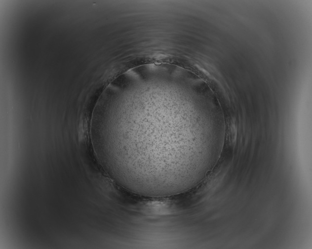 X0000089700236200706281500