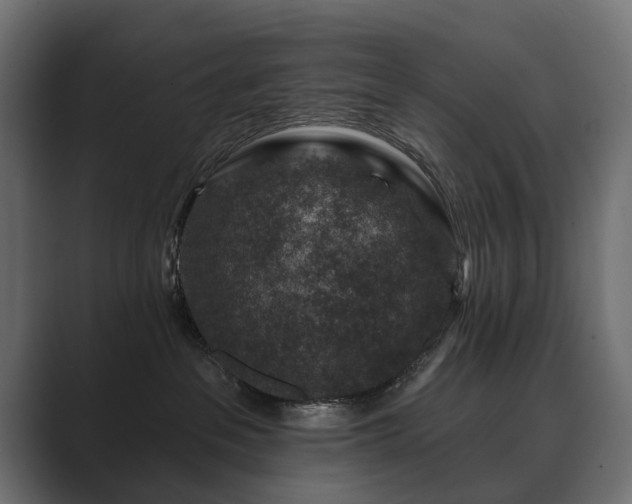 X0000089700237200706281500