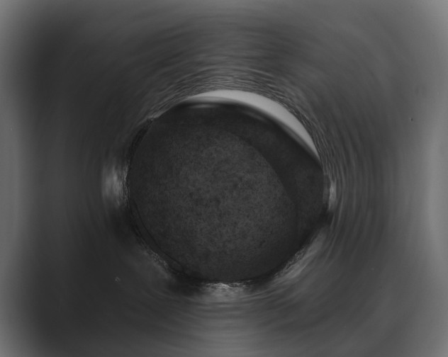 X0000089700239200706281500