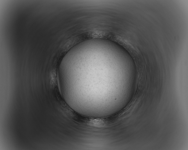 X0000089700240200706281500