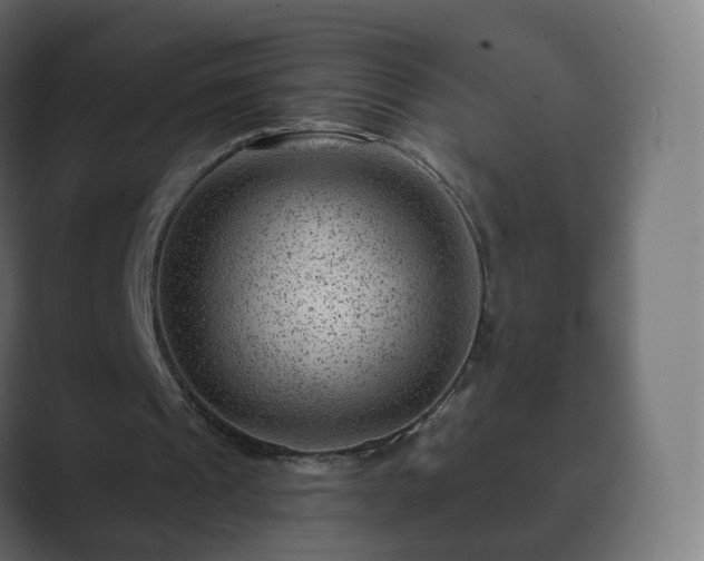 X0000089700241200706281459