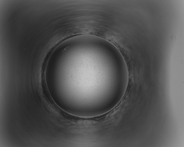 X0000089700242200706281459