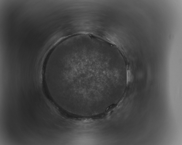 X0000089700243200706281459