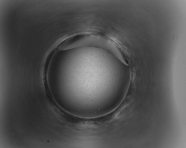 X0000089700244200706281459