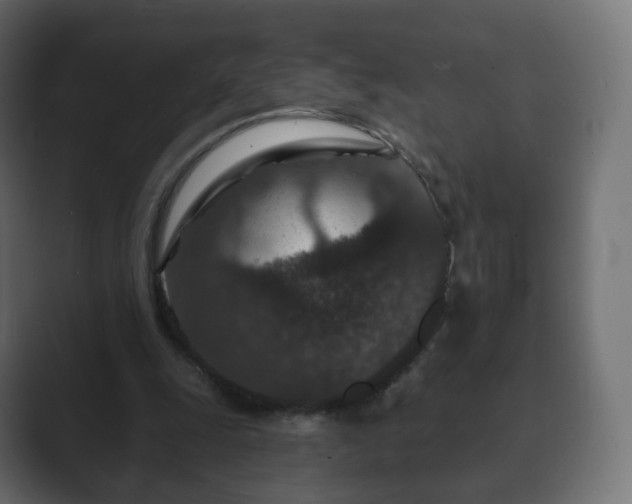 X0000089700247200706281459