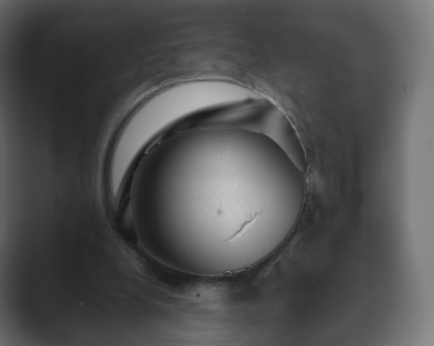 X0000089700248200706281459