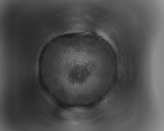 X0000089700250200706281459