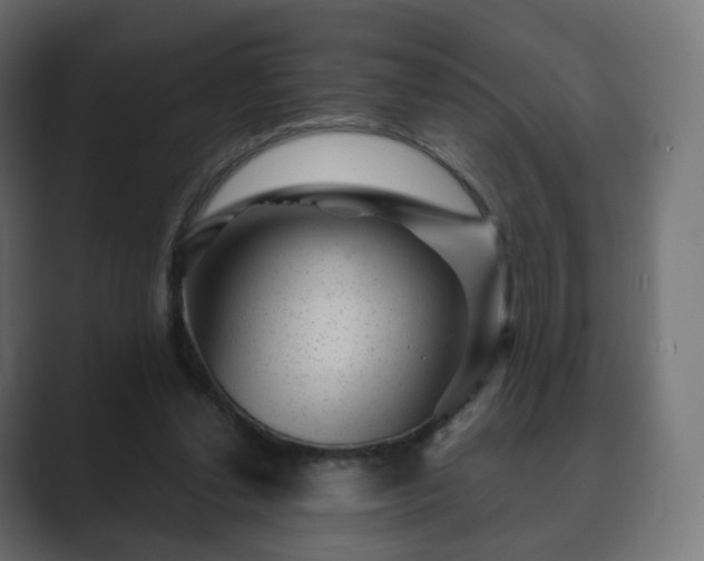 X0000089700252200706281500