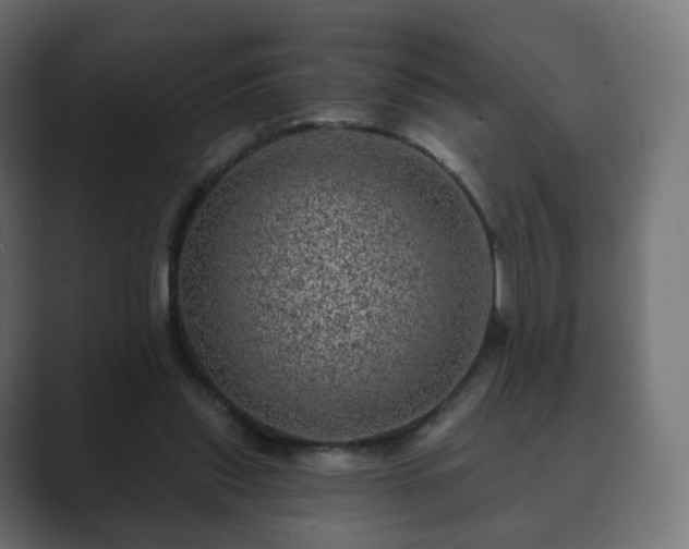 X0000089700253200706281500