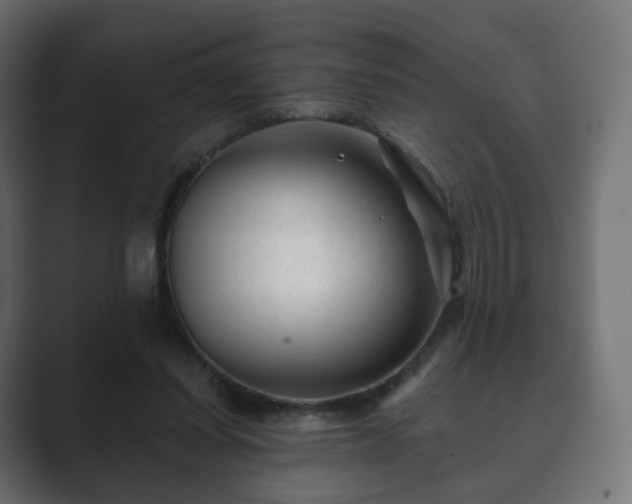 X0000089700254200706281500