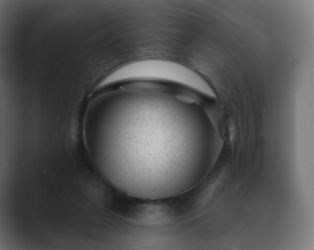 X0000089700255200706281500