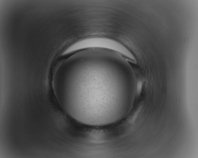 X0000089700256200706281500