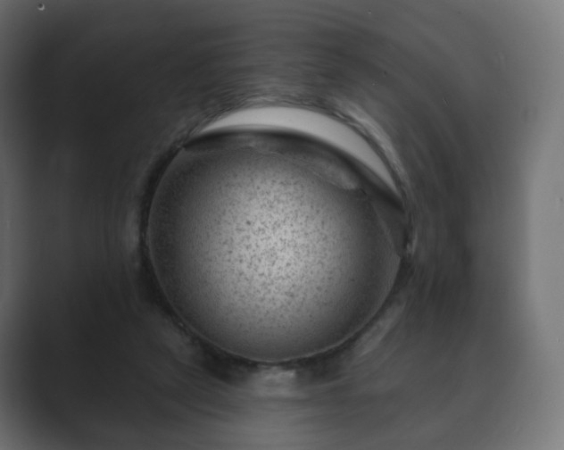 X0000089700257200706281500