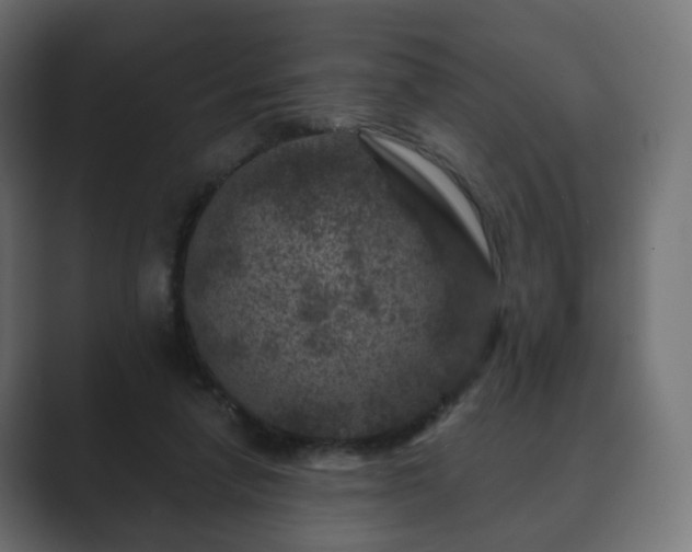 X0000089700258200706281500