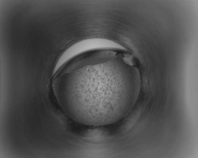 X0000089700259200706281500