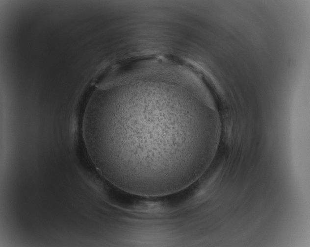 X0000089700260200706281500