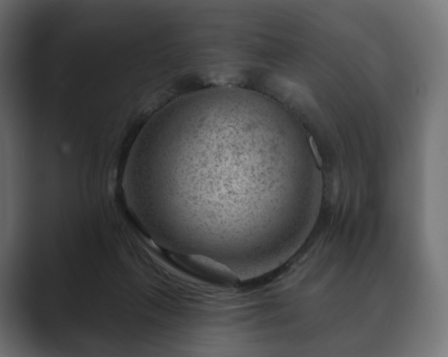 X0000089700263200706281500