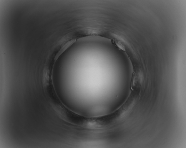 X0000089700264200706281500