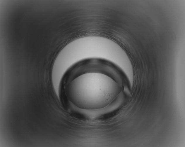 X0000089700268200706281500