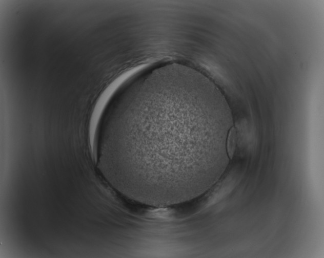 X0000089700269200706281500