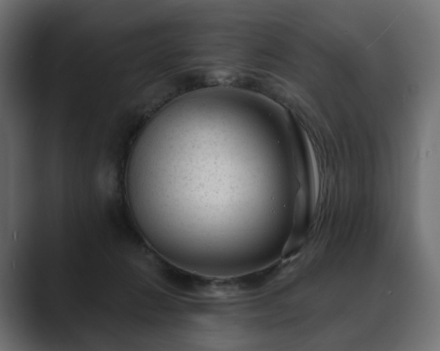 X0000089700270200706281500