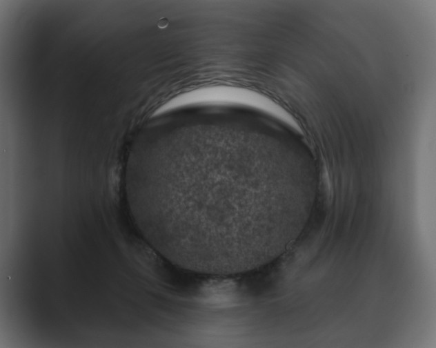 X0000089700271200706281500