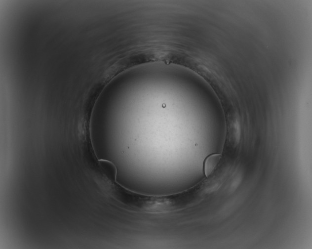 X0000089700274200706281500