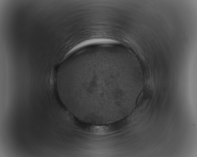 X0000089700277200706281500