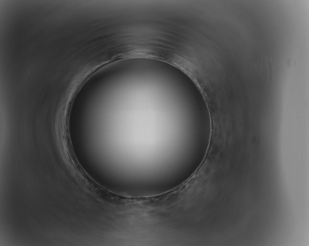 X0000089700289200706281459