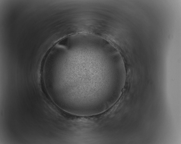 X0000089700290200706281459