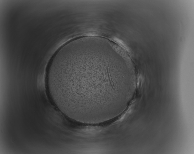 X0000089700292200706281459