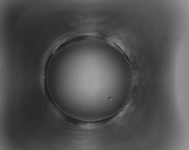 X0000089700293200706281459