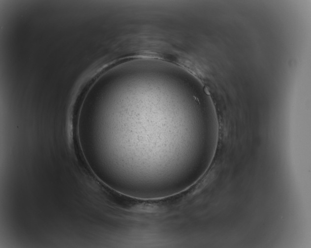 X0000089700294200706281459